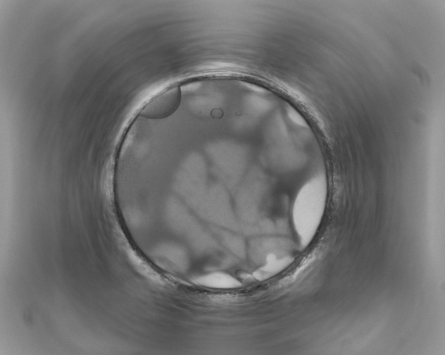 X0000110991421200907171742