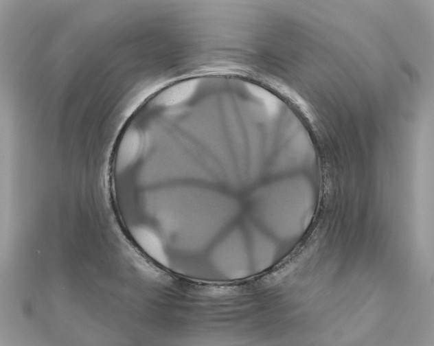 X0000110991423200907171743