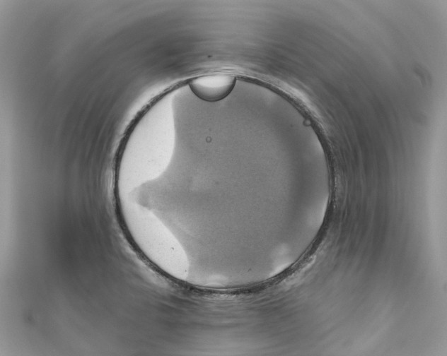 X0000110991424200907171743