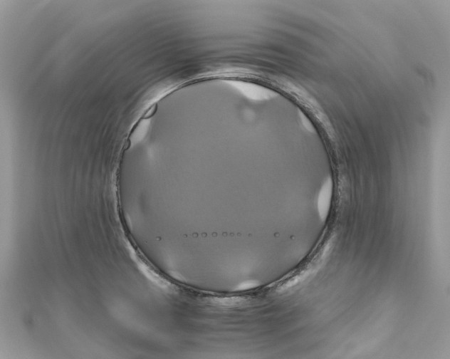 X0000110991425200907171743