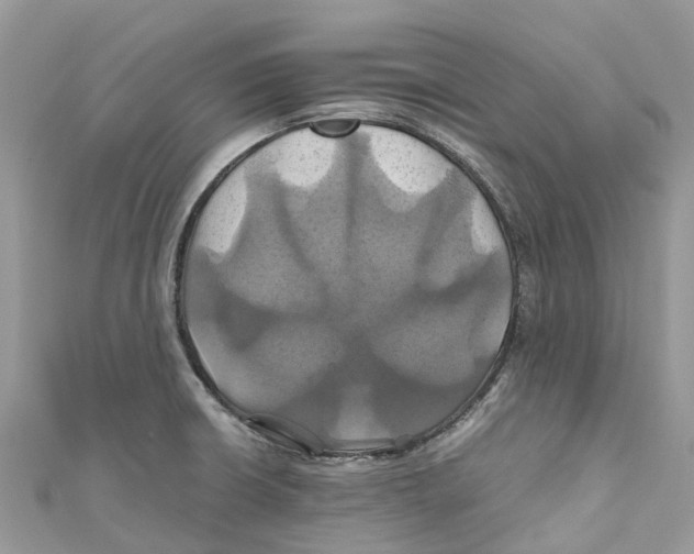 X0000110991426200907171743