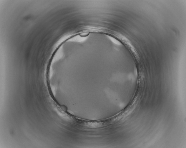 X0000110991427200907171743