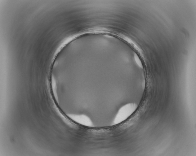 X0000110991429200907171743