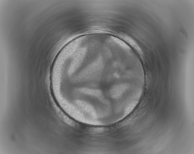 X0000110991431200907171743