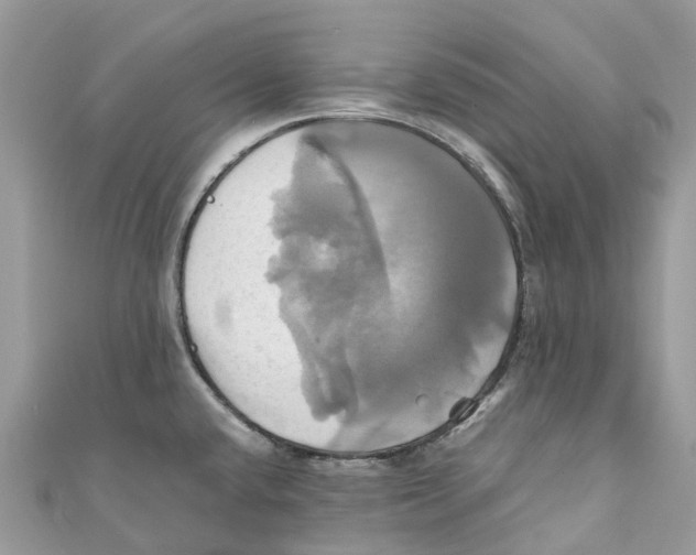 X0000110991432200907171743