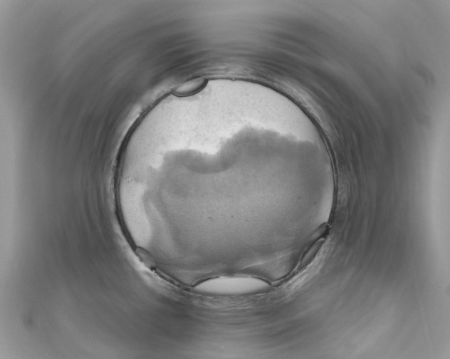 X0000110991434200907171743