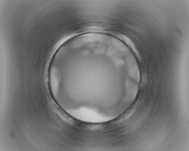 X0000110991435200907171743
