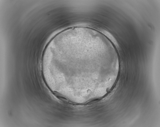 X0000110991436200907171743