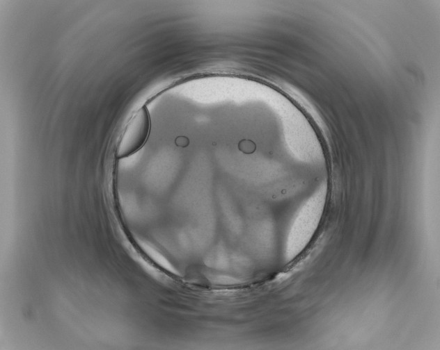 X0000110991437200907171743