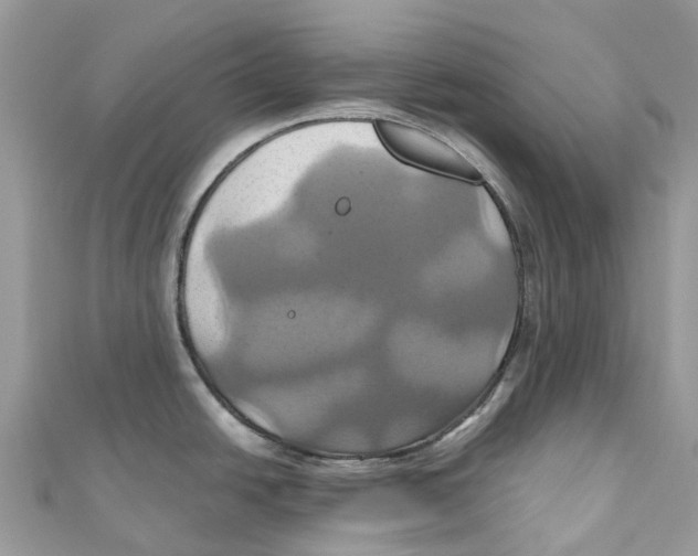 X0000110991438200907171743