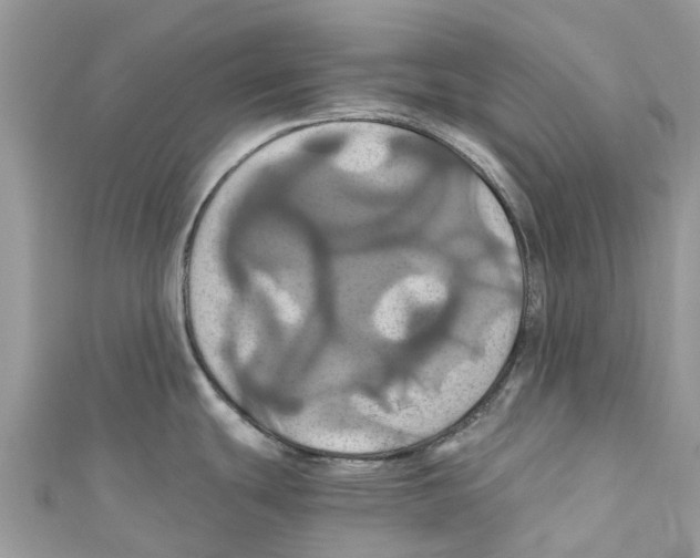 X0000110991439200907171743