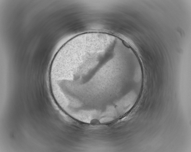 X0000110991440200907171743