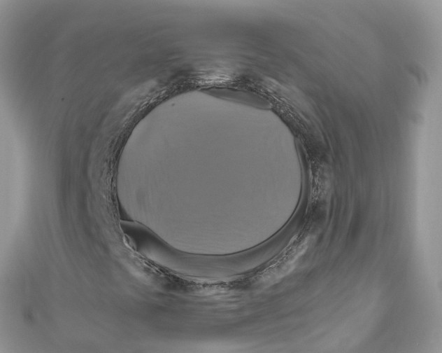 X0000110991441200907171742