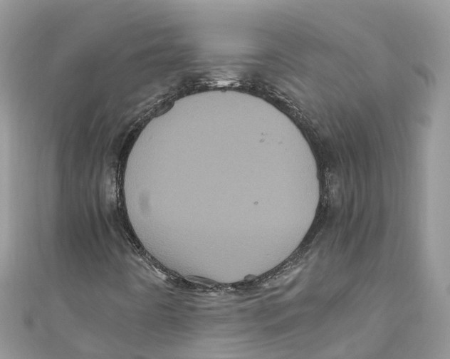 X0000110991442200907171742