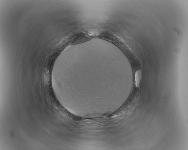 X0000110991443200907171742