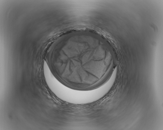 X0000110991445200907171742