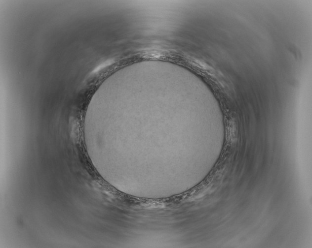 X0000110991446200907171742