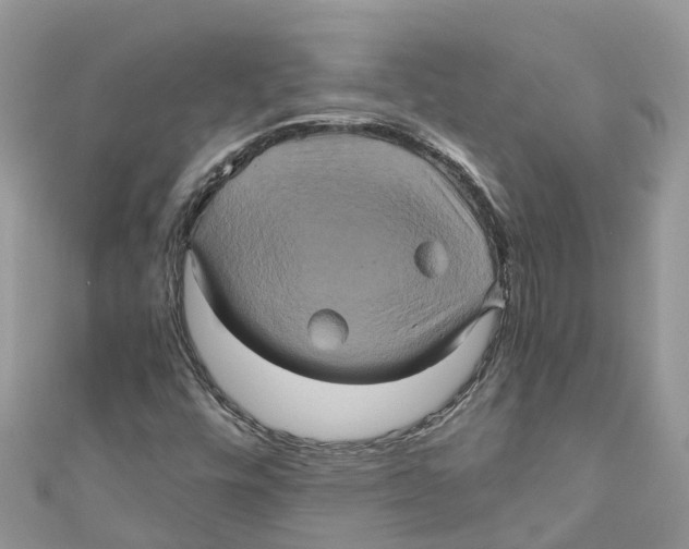 X0000110991448200907171742
