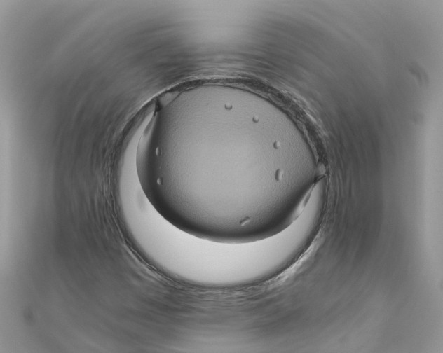 X0000110991449200907171742