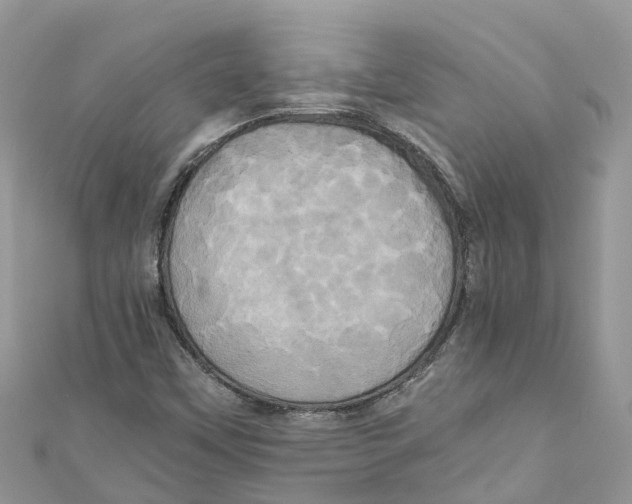 X0000110991451200907171742