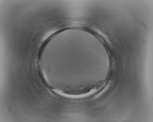 X0000110991453200907171742