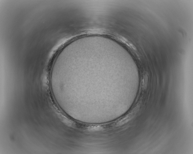 X0000110991454200907171742