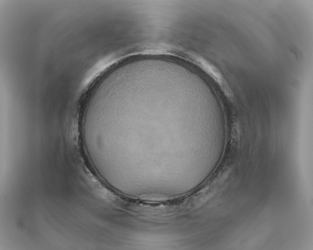 X0000110991456200907171742