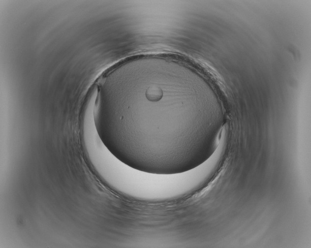 X0000110991457200907171742