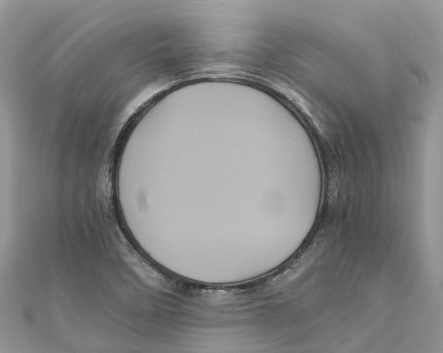 X0000110991458200907171742