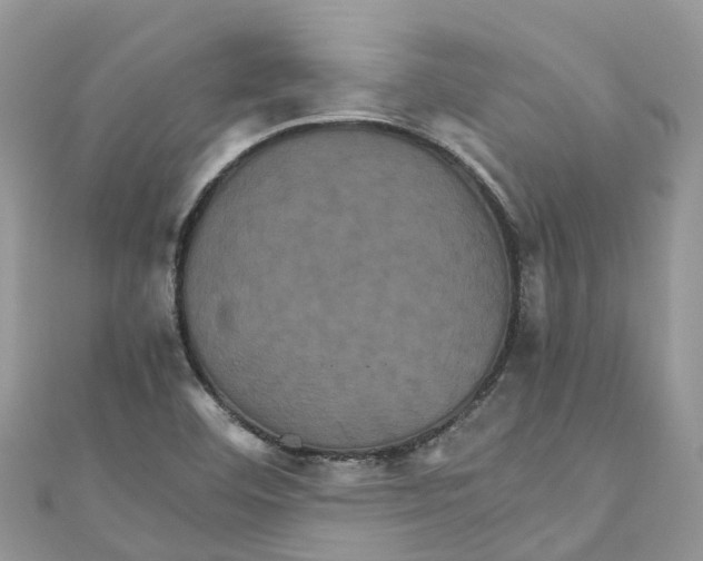 X0000110991460200907171742