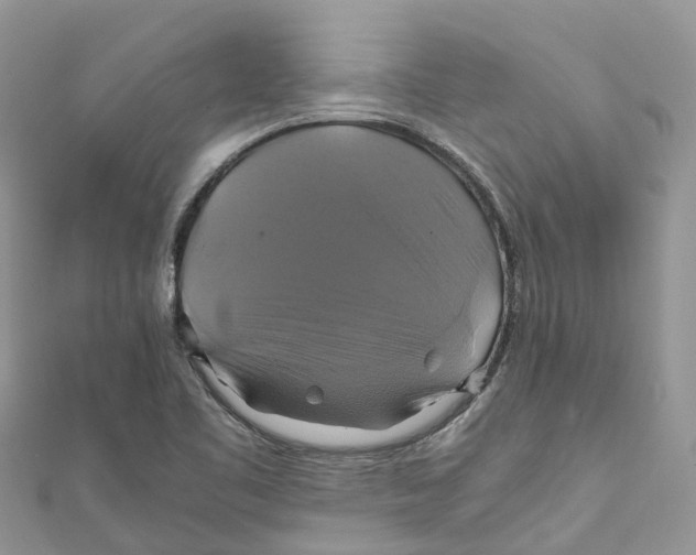 X0000110991461200907171742