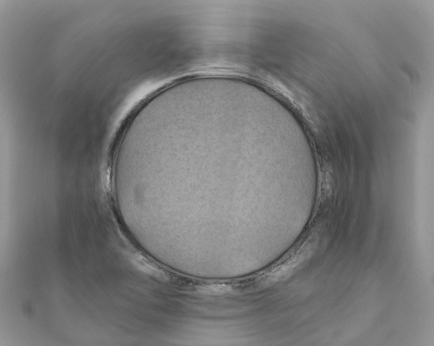 X0000110991462200907171742
