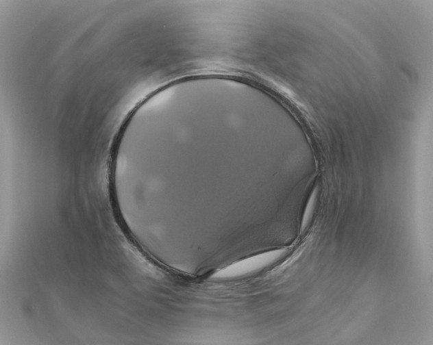 X0000110991463200907171742