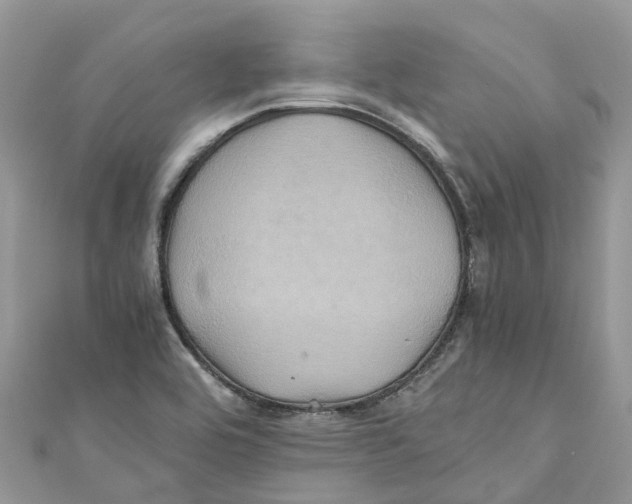 X0000110991464200907171742