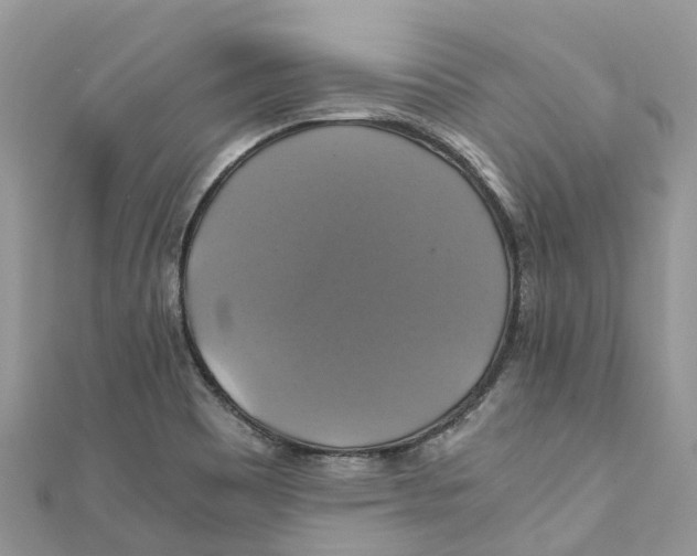X0000110991465200907171742