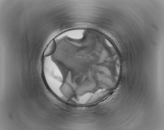 X0000110991467200907171742