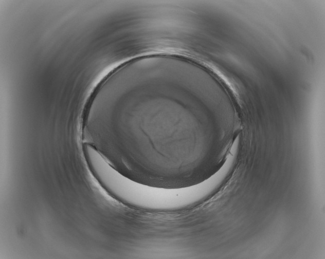 X0000110991468200907171742