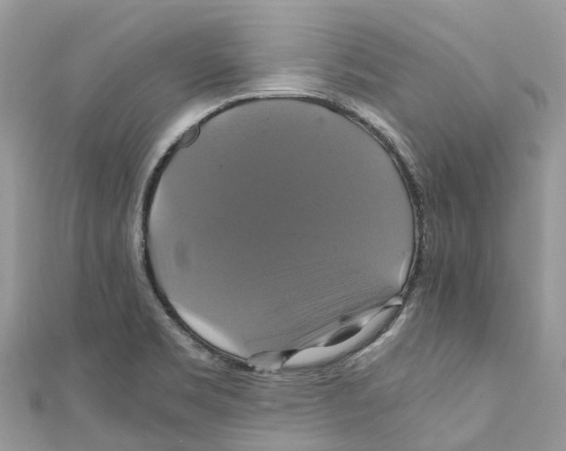 X0000110991469200907171742