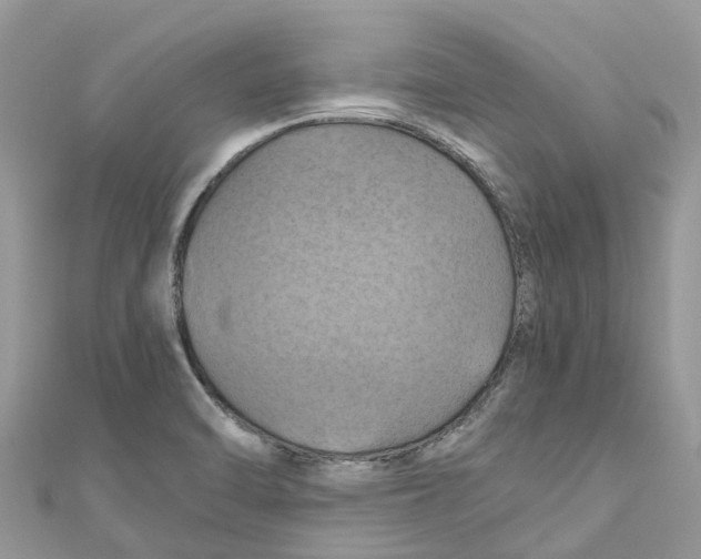 X0000110991470200907171742