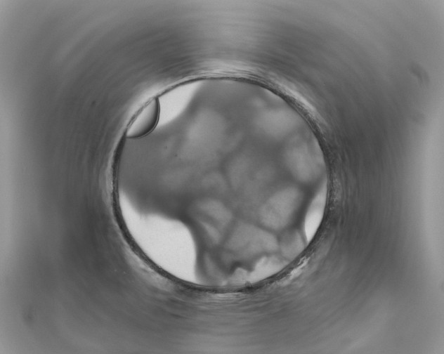 X0000110991471200907171742
