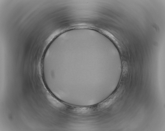 X0000110991474200907171742
