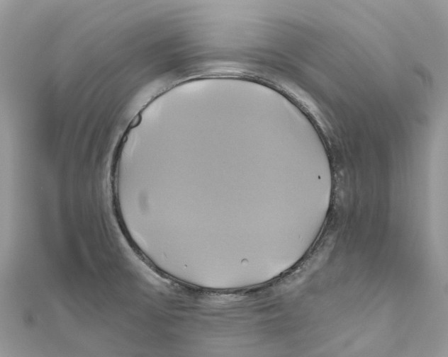 X0000110991475200907171742