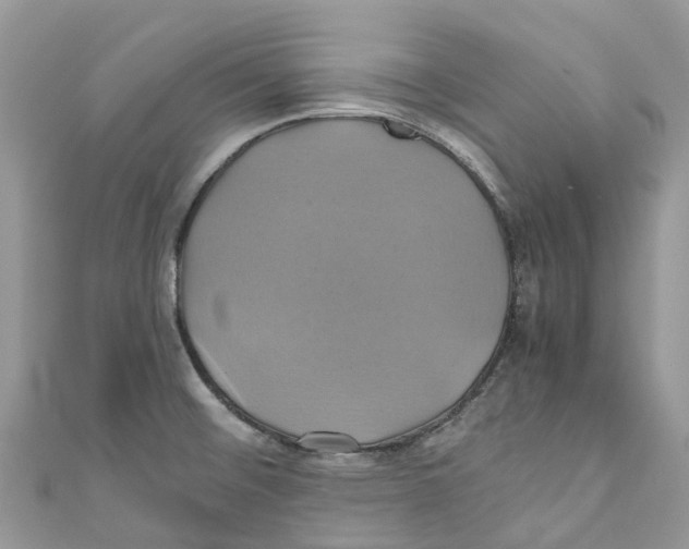 X0000110991476200907171742