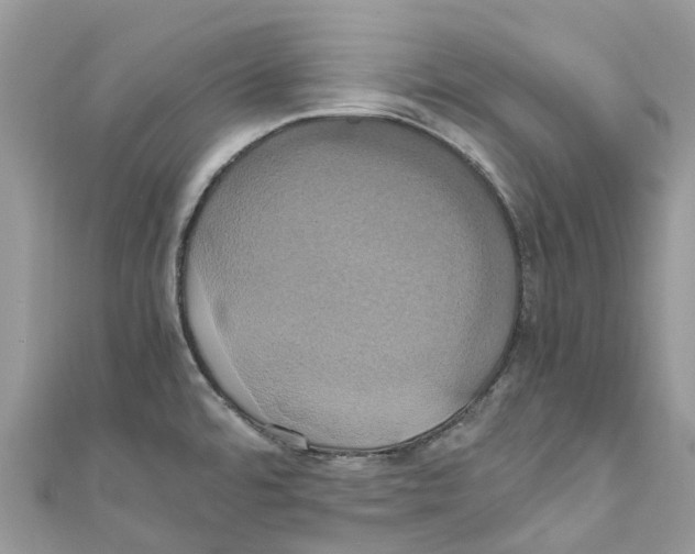 X0000110991480200907171741