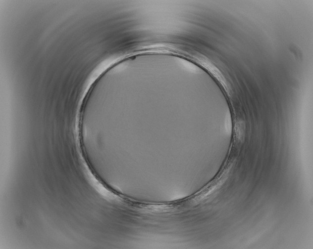 X0000110991482200907171741