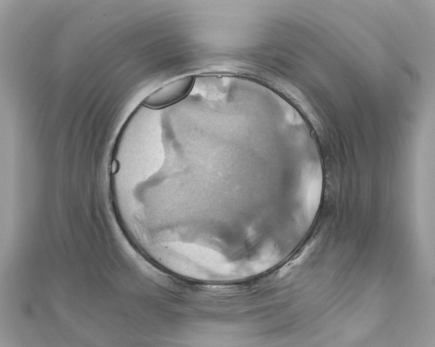 X0000110991483200907171741