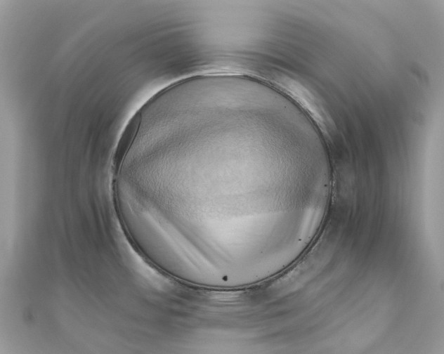 X0000110991484200907171741