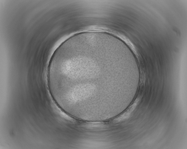 X0000110991486200907171741