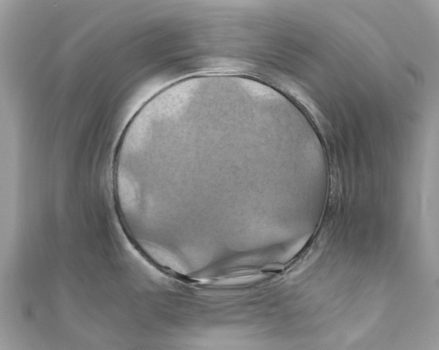 X0000110991487200907171741