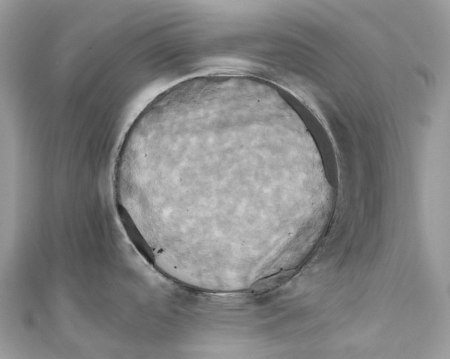 X0000110991488200907171741